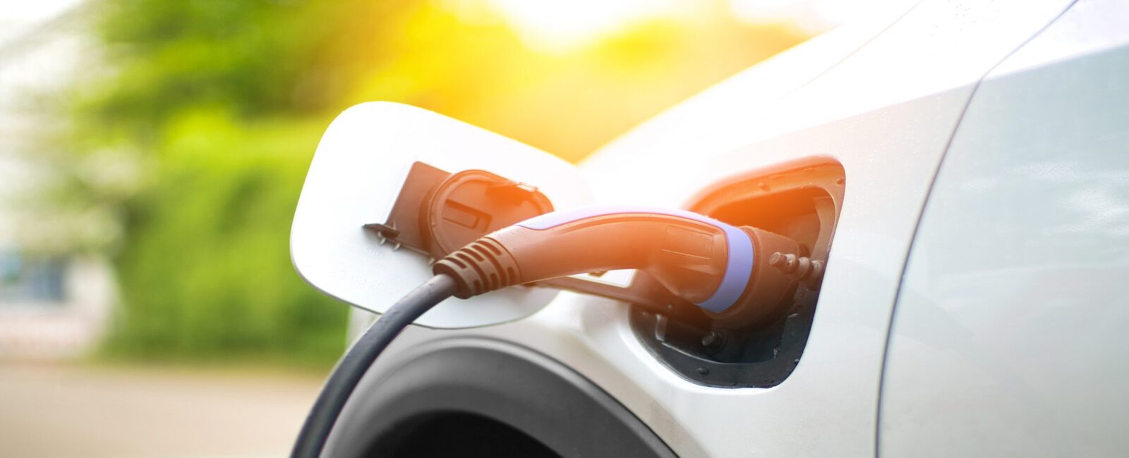ELECTRIC VEHICLE